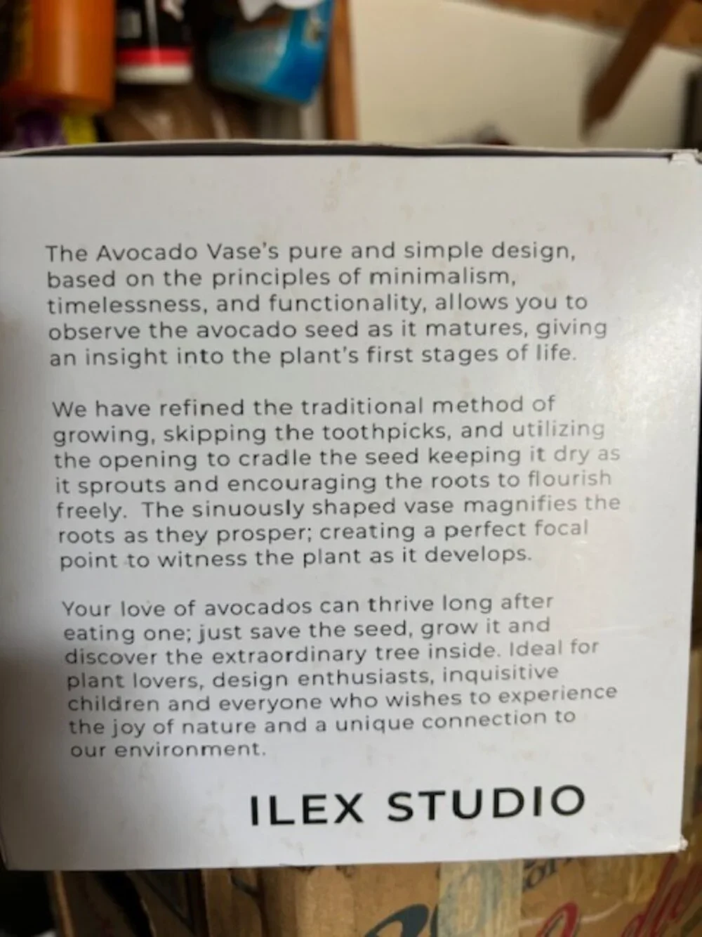 Ilex Studio part sculpture